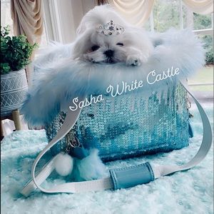Gorgeous all sequins dog carrier
